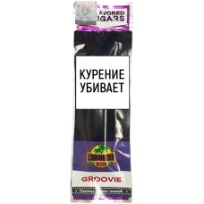 Сигариллы Caribbean Blend Groovie (2 шт.) купить Сигариллы Caribbean Blend Groovie (2 шт.) купить